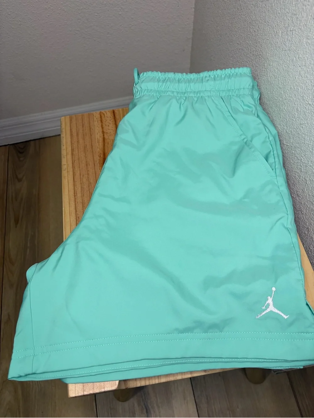Jordan Mint Green Performance Shorts